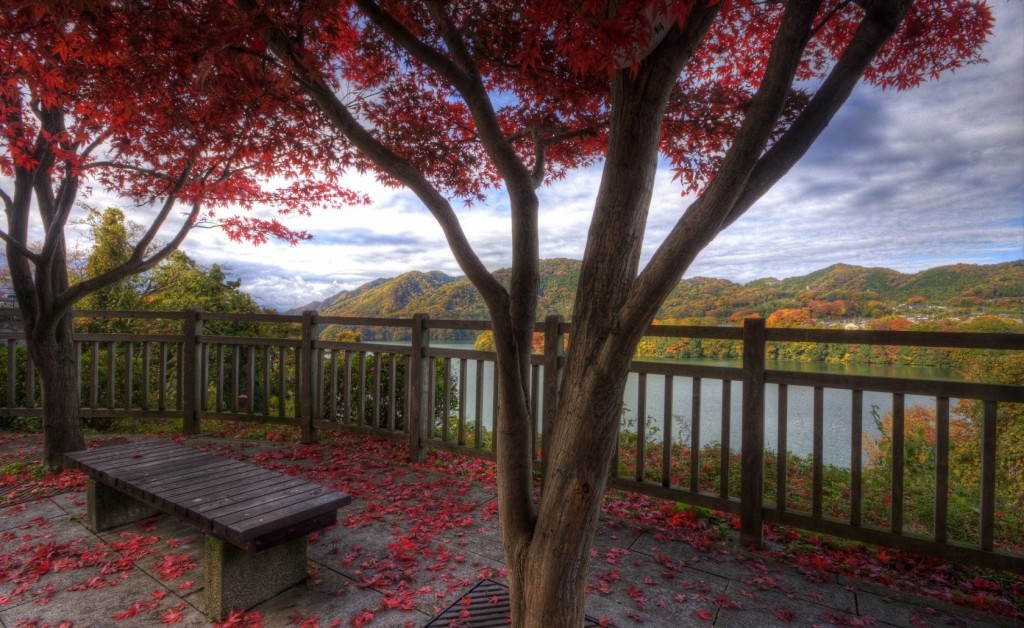 Mountain Trees View Bench Red Autumn Fence Pictures